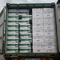 Busa Resin Fenolik Berkualitas Tinggi, Kepadatan Tinggi, Penyerapan Cepat, Laris untuk Dekorasi