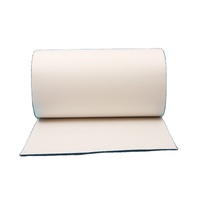 Joint d'étanchéité ignifuge isolant thermique en fibre céramique en vrac blanc pur certifié ISO9001 1600C ST