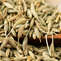 Graines de cumin séchées en vrac biologiques, épices à une seule herbe, prix de gros pour les fournisseurs chinois, graines de cumin noir
