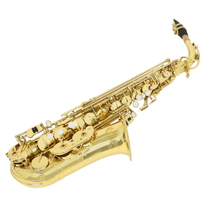 Sassofono Contralto Dorato MBAT in Mib, <span class=keywords><strong>Strumento</strong></span> <span class=keywords><strong>Musicale</strong></span> Artigianale in Ottone, Vendita all'Ingrosso OEM ODM, Economico con Custodia - Product Image 5