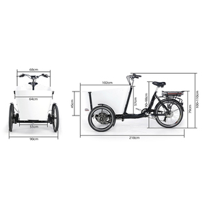 3 roues <span class=keywords><strong>cargo</strong></span> moteur enfants poussette porte-bébé tricycle pour maman et papa <span class=keywords><strong>cargo</strong></span> vélo - Product Image 6