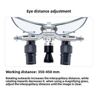 Loupe binoculaire HD pour chirurgie dentaire 48 avec lampe rechargeable Modèle ERGOII 4X-6X Instrument médical