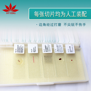 Типичный Plasmodium <span class=keywords><strong>vivax</strong></span> W.M. Стеклянный микроскоп биологический обучающий паразит подготовленные слайды - Product Image 4