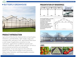 Serre <span class=keywords><strong>agricole</strong></span> préfabriquée <span class=keywords><strong>en</strong></span> métal pour la culture hydroponique de tomates et de melons, à plusieurs travées - Product Image 2