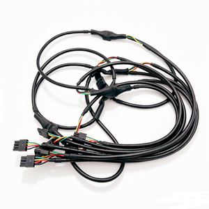 Harnais de câblage en cuivre sur mesure avec connecteur Wugo 12 broches – Solutions d'assemblage de faisceaux de câbles – Fabricant - Product Image 3