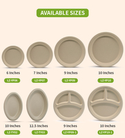 Oasis 10 pouces 3-Comp 100% assiettes en papier jetables biodégradables et compostables à bagasse pour mariage
