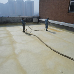 Revestimiento impermeable de poliurea en aerosol de poliurea de alta calidad y precio favorable para techos exteriores - Product Image 2