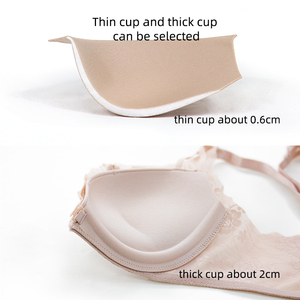 Tùy chỉnh & mẫu paerlan bán buôn đẩy lên đồ lót thiết lập đầy đủ cup phía trước đóng cửa áo ngực & Sheer ren quần lót áo ngực & Quần lót thiết lập - Product Image 6