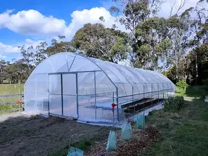 Estufa moderna de filme plástico para horta, estufa de túnel poli com sistema hidropônico para vegetais, agricultura moderna
