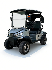 Voiturette de golf 2 places avec pare-chocs avant et cadre de protection en fer, support de sac de golf en option et housse de sac imperméable - Product Image 6