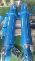 Cylindres hydrauliques bidirectionnels personnalisés de 40/50/63/80 mm de diamètre, chromés durs, en fonte, à double effet, à double anneau de levage
