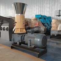 Petite machine à granulés de bois, de paille et de sciure de bois CE, pour la production de granulés de biomasse et de combustible