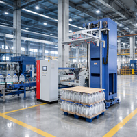 Palettiseur robotisé électrique monocolonne de haute qualité à prix compétitif pour l'emballage alimentaire, plastique et papier