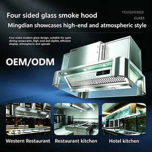 <span class=keywords><strong>Hotte</strong></span> <span class=keywords><strong>de</strong></span> cuisine professionnelle en acier inoxydable 201 certifiée ISO9001 CE <span class=keywords><strong>avec</strong></span> filtre électrostatique pour équipement <span class=keywords><strong>de</strong></span> traitement du <span class=keywords><strong>gaz</strong></span> hôtelier - Product Image 1