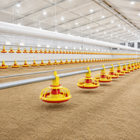 Mangeoire de ferme avicole de qualité professionnelle pour l'élevage au sol des poulets de chair – Achat d'équipement d'alimentation commercial
