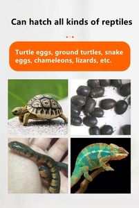 Incubadora de huevos para incubar infantil Precio Incubadoras de huevos de reptil para reptil Tortuga Lagarto Tierra Serpiente Camaleón - Product Image 5