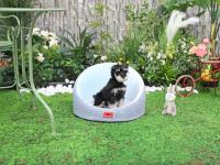 Lit pour chat ovale de luxe en mousse à mémoire de forme, orthopédique, avec logo personnalisé disponible en gros (OEM)