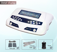 Machine de désintoxication ionique à double cellule Pro Bain de pieds ionique Système de nettoyage de spa