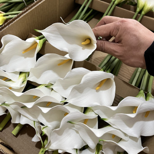 Fleurs artificielles de lys calla en EVA de haute qualité, aspect réaliste, lys calla blancs pour mariage, fête, décoration de la maison - Product Image 1