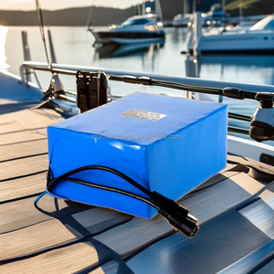 แบตเตอรี่ลิเธียมไอออน OEM สำหรับเก็บพลังงานแสงอาทิตย์แบบ Deep Cycle สำหรับเรือและยานพาหนะทางน้ำ 12V 10Ah 20Ah 30Ah 50Ah 100Ah - Product Image 2