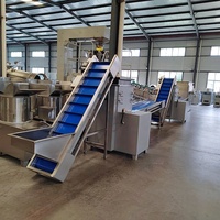 Kls 300-2000 Kg/u Capaciteit Nieuwe Knoflookverwerkingsmachines Omvatten Splitsen En Vacuümverpakkingen 7 Dagen Snelle Levering