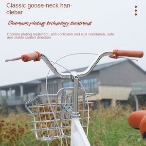 Bicicletta Classica da Città per Donna, Monovelocità, in Acciaio al Carbonio, con Sedile Posteriore e Cestino, Stile Urbano per Adulti - Product Image 5