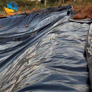 Chất lượng cao 1mm HDPE EVA LLDPE số lượng lớn geomembrane lót cho Hiện Đại Cá Ao đập đống <span class=keywords><strong>leach</strong></span> <span class=keywords><strong>Pad</strong></span> bãi rác cap Bìa Sản xuất tại Trung Quốc - Product Image 2
