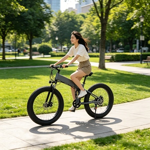 Vélo cargo <span class=keywords><strong>électrique</strong></span> à pneus larges de haute qualité pour la livraison urbaine de charges lourdes – Vente directe usine à prix réduit - Product Image 3