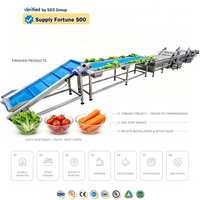 Automatische IQF diepvriesgroente verwerkingslijn industriële diepvriesgroente productielijn