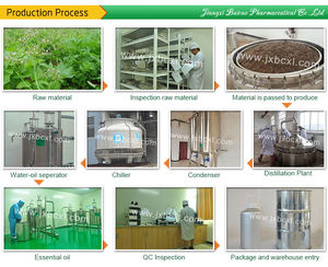 Aceite de valeriana esencial puro de grado terapéutico Premium para el insomnio y la ansiedad Aceite de extracto de valeriana Premium - Product Image 6