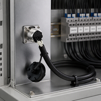 Faisceau de câbles aviation Weipu WS24, connecteur 2P12 cœurs 19TQ+Z mâle-femelle, câble d'extension alimentation et signal, faisceau de câblage électrique