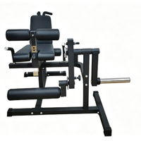 Machine commerciale multifonctionnelle assise pour extensions et curls des jambes avec rangement de plaques, pour la musculation intensif des quadriceps et des ischio-jambiers