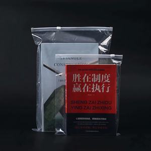 Fabricación personalizada camiseta ropa interior calcetines embalaje barato CPP EVA CPE esmerilado Zip Lock bolsa con logotipo - Product Image 1