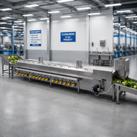 Automatische fruit- en groenteverwerkingslijn, koolzaadblancher, snelvrieslijn voor groenteverwerking, enzym-inactivatielijn