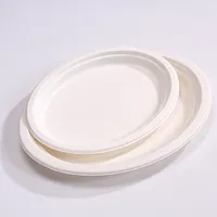 Sugarcane Compartment Biodegradable Paper Plates