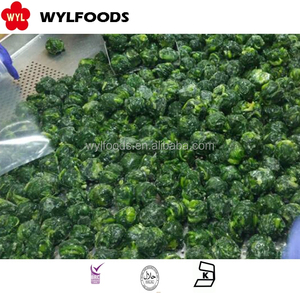 Hohe Qualität und niedriger Preis IQF Frozen Chopped Spinat blatt in loser Schüttung für den Großhandel - Product Image 5