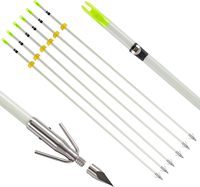 HT Meilleur Prix Lot de 6 flèches de pêche à l'arc de 32 pouces avec pointes de sécurité, flèches lumineuses pour arc composé et arc classique