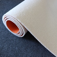 Living Room High Quality Durable Using Various Anti-slip Backing Tpe Modern Large Rug Carpet