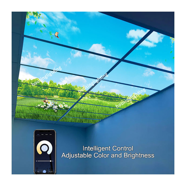 Smart Panel Ceiling Light Artificial Sky Panel 6060 Back Light 595x595 2ft 4ft 18W 30W 40W Aluminum Blue Sky LED Panel Light