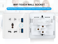 Prise WiFi avec prise secteur 13A norme EU/AU, en plastique et verre, 2 prises et 2 ports USB, CE ROHS FCC pour IP21