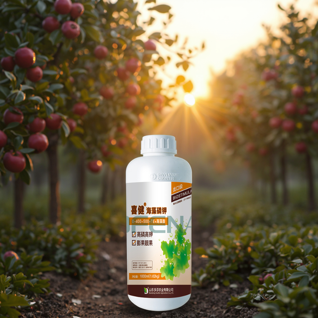 Wholesale Seaweed Liquid PK Fertilizer 0-350-450 for Apples