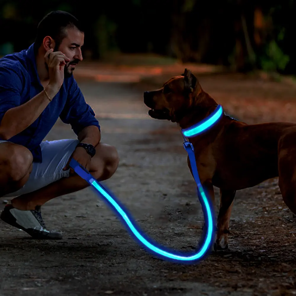 Новый дизайн, классный USB Перезаряжаемый СВЕТОДИОДНЫЙ мигающий поводок для собак с защитой от потери