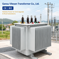 Transformateur de distribution immergé dans l'huile 35 kV 100-1600 kVA S11/S13 Triphasé Bobinage Cuivre/Aluminium Tension Personnalisée