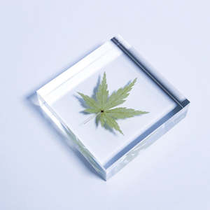 El yapımı numune bitki gömülü hatıra el sanatları akrilik reçine akçaağaç Paperweight hediye bırakır - Product Image 1