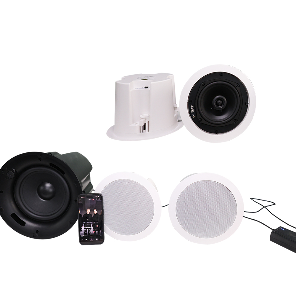 Multi-Room Ceiling Speaker 6W-120W 4-8" Dolby Digital DTS AirPlay Wireless Charger AUX Connectivity · image 2