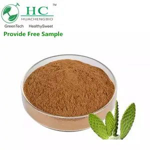 High Quality 10:1 20:1 Hoodia Gordonii Extract Cactus Extract Hoodia Gordonii Extract Powder