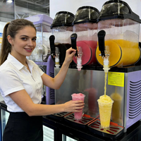 Machine à slush et à boissons glacées de qualité commerciale HELAXEN en acier inoxydable, pour cocktails et margaritas, 220V, type Icee Slushie