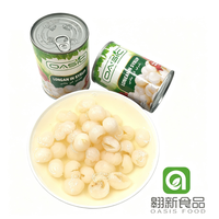 Ingeblikte Longan in siroop 425g, gepeld & ontpit, hele vruchten in zoet water, klaar om te eten, snack