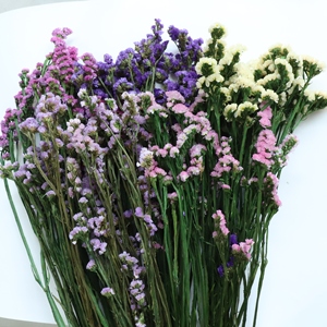 Suministro directo de fábrica Flor eterna Flor estática preservada duradera No <span class=keywords><strong>me</strong></span> olvides para la decoración de la boda del Día de San Valentín - Product Image 3