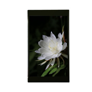 Bán Hot 7.0 inch mipi TFT <span class=keywords><strong>LCD</strong></span> màn hình hiển thị tất cả các góc RGB LED cảm ứng điện dung <span class=keywords><strong>LCD</strong></span> module 800x1280 ili9881c điều khiển IC - Product Image 4